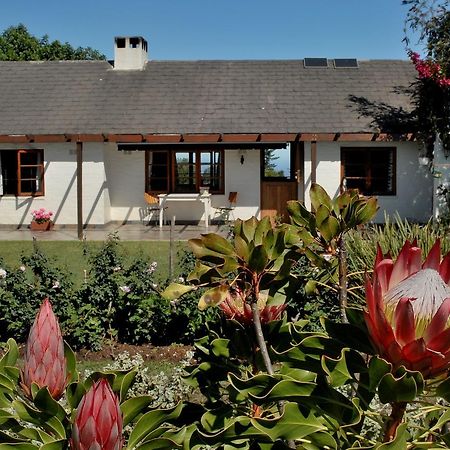 Heatherhill Farmhouse - Sea & Mountain Viewsプレッテンバーグ・ベイ エクステリア 写真