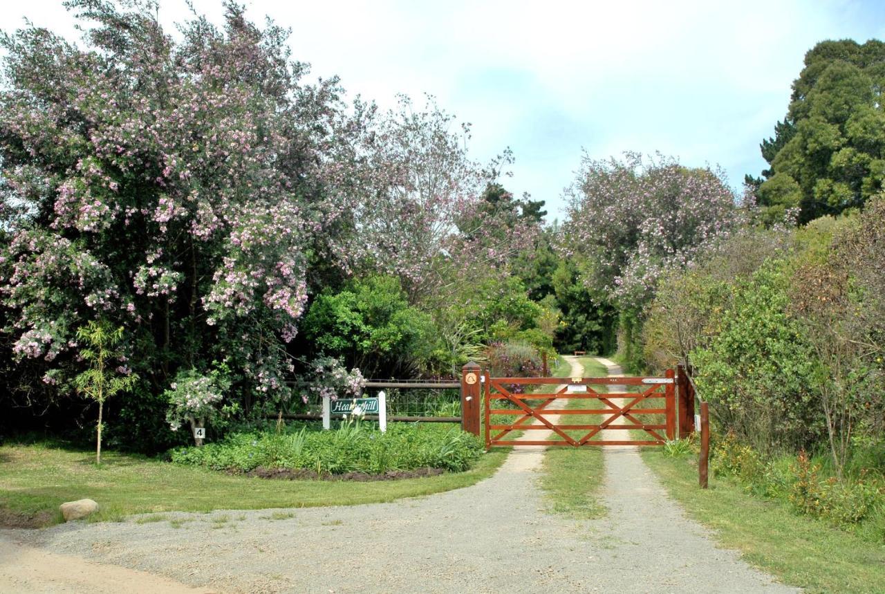 Heatherhill Farmhouse - Sea & Mountain Viewsプレッテンバーグ・ベイ エクステリア 写真